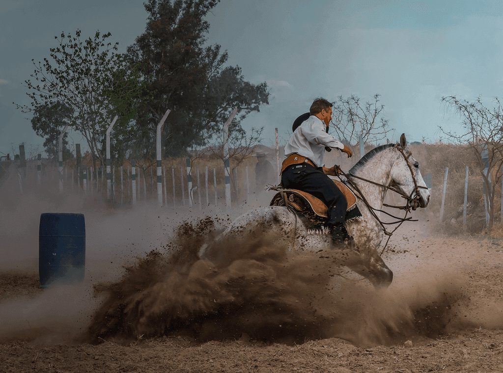 Horseback rider in traditional gaucho attire kicks up dust as he makes a turn. Overlaid is the Spanish word "gaucho" with its English translation, "skilled horseman".