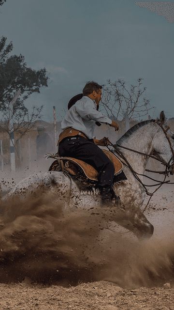 Horseback rider in traditional gaucho attire kicks up dust as he makes a turn. Overlaid is the Spanish word "gaucho" with its English translation, "skilled horseman".