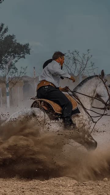 Horseback rider in traditional gaucho attire kicks up dust as he makes a turn. Overlaid is the Spanish word "gaucho" with its English translation, "skilled horseman".